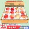 绿养道 平谷大桃水蜜桃礼盒装 新鲜水果  12个装大果（单果5-6两）净重约6.2斤