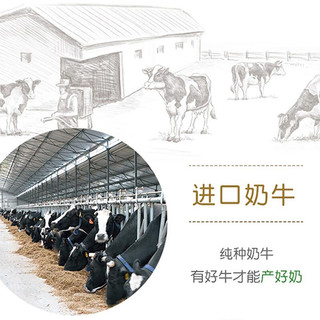 Huishan 辉山 益生菌酸奶0添加风味发酵乳 无添加剂低温酸奶 生鲜170g*10