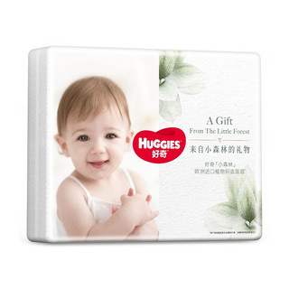 HUGGIES 好奇 心钻装系列 婴儿纸尿裤 L16片