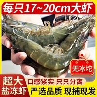 寰球渔市海捕大虾白虾整盒盐冻野生超大虾盐冻虾整箱批发