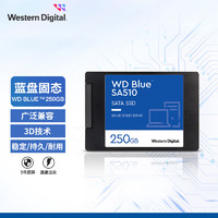 西部数据（WD) 250GB SSD固态硬盘 SA510 SATA Blue系列 3D技术 高速读写 五年质保