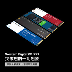 Western Digital 西部数据 WD) 250GB SSD固态硬盘 SA510 SATA Blue系列
