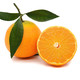 爱媛果冻橙大果粒橙 净重4.25-4.5斤 15个左右