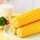 十月稻田 五常鲜食玉米 220g*8根
