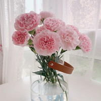 PLUS会员：玫瑰 悦多彩 每周一花云南昆明鲜花速康乃馨 随机色 10支