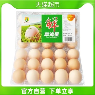 RT-Mart 大润发 天康 草鸡蛋 15枚 637g