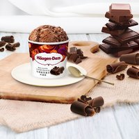 PLUS会员：哈根达斯 比利时巧克力口味 冰淇淋 100ml