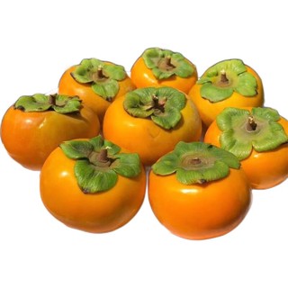 PLUS会员：乌岽山 陕西甜脆柿子 2.5斤净重
