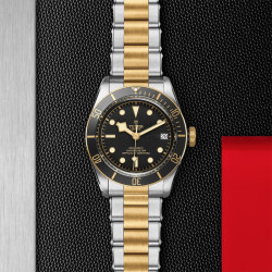 tudor 帝舵 碧湾系列 41毫米自动上链腕表 m79733n-0008