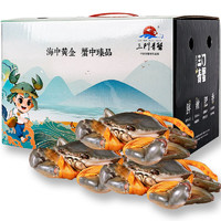 三门青蟹 全母蟹（6两-7两/只）3只 生鲜活螃蟹海鲜水产