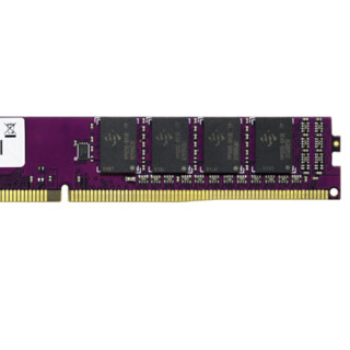 ADATA 威刚 万紫千红系列 DDR4 2666MHz 台式机内存 普条 紫色 16GB