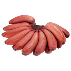 芬果时光 新鲜美人蕉红皮香蕉 5斤装