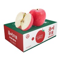 PLUS会员：乌岽山 正宗洛川苹果(2022年新果) 6枚