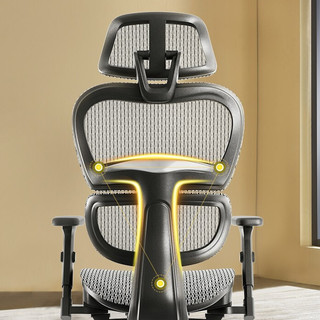 恒林 1388 开普勒人体工学椅 铝合金脚款