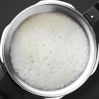 Fissler 菲仕乐 新味达快系列 高压锅(18cm、2.5L、18-10不锈钢)