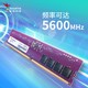  ADATA 威刚 32GB(16GBX2)套装 DDR5 5600 台式机内存条 万紫千红　