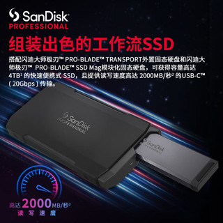 SanDisk professional 闪迪大师 极刃PRO-BLADE TRANSPORT 移动固态硬盘 1TB USB3.2