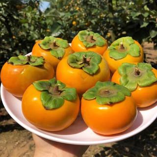 乌岽山 甜脆柿子 1.25kg
