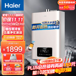 Haier 海尔 T11 燃气热水器 16L 天然气（12T）
