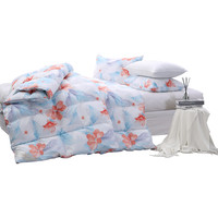 MERCURY 水星家纺 玉露倾城 抗菌羽绒冬被 150*210cm