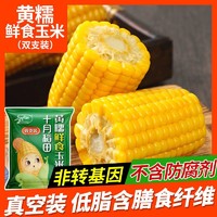 十月稻田 22年新玉米黄糯鲜食玉米10根装低脂真空包装东北黏苞米