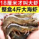 美萍 盐冻虾整盒4斤18至20厘米青岛特大虾