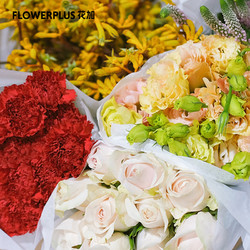 FlowerPlus 花加 5束鲜花盲盒瓶插花鲜切花基地直发花束