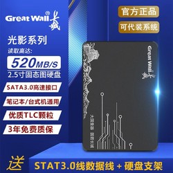Great Wall 长城 256G固硬盘512G/1TB台式机电脑笔记本SSD批发正品120G固态盘