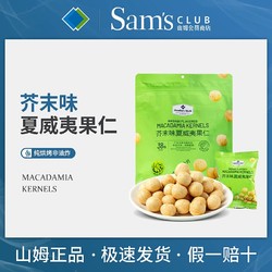 MEMBER'S MARK 会员制仓储店 山姆Members Mark芥末味夏威夷果仁500g非油炸坚果