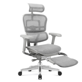 Ergonor 保友办公家具 金豪E 2 人体工学电脑椅 灰框银白色 带躺舒宝款