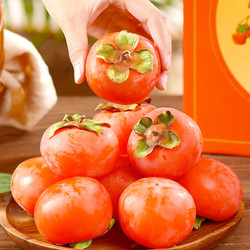 京东生鲜 陕西火晶小柿子 新鲜当季水果（30枚装）放软再食用 包邮