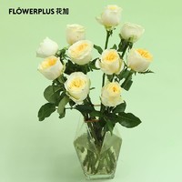FlowerPlus 花加 鲜花盲盒3束瓶插花切花云南基地直发花束速递鲜花