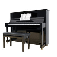 Xinghai 星海 XU-118JW 立式鋼琴 118cm 黑色 初學者