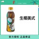 IF 恋凡 生椰咖啡268ml*12瓶泰国进口椰子水咖啡饮料生椰拿铁