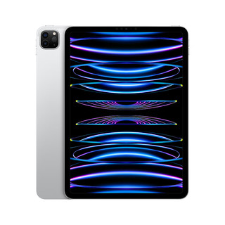 iPad Pro 2022款 11英寸平板电脑 128GB WLAN版