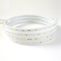 FSL 佛山照明 2835 LED双排灯带 8W 白光