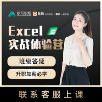 EXCEL教程WPS计算机office办公软件课程秒可职场网课实战体验课