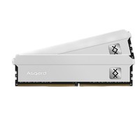 Asgard 阿斯加特 弗雷系列-钛银甲 DDR4 3200 台式机内存条 64GB（32GB*2）套条