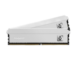 Asgard 阿斯加特 64GB(32Gx2)套装 DDR4 3200 台式机内存条 弗雷系列-钛银甲