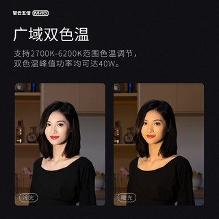 ZHIYUN 智云 M40 闪光灯