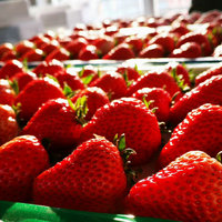 88VIP：丹东红颜奶油草莓 500g（单果20-30g）
