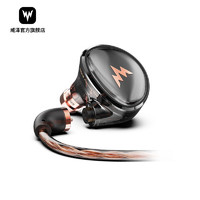 Whizzer 威泽 Kylin HE01B 双腔体动圈入耳式有线HIFI耳机HDSS分频技术 HE01B #0