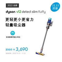 dyson 戴森 V12 激光探测无绳吸尘器V12 Detect Slim Fluffy（蓝色）