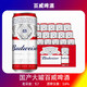 baiwei 百威 Budweiser/百威啤酒小麦醇正拉罐500ml*12听整箱罐装