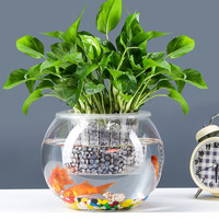 易萌 桌面鱼缸 小型 创意 金鱼缸 圆形玻璃鱼缸 家用客厅 水培容器 玻璃花盆绿萝花盆15cm