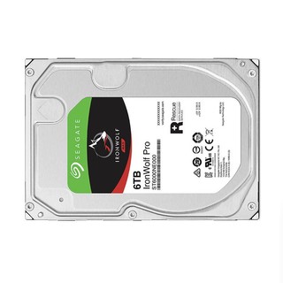 SEAGATE 希捷 酷狼IronWolf Pro系列 3.5英寸 NAS硬盘 6TB（7200rpm、256MB）ST6000NE000