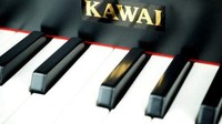 prime会员：KAWAI 河合楽器製作所 玩具钢琴 (黑色) 编号1191