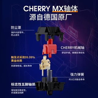 CHERRY 樱桃 KC200游戏机械键盘 商务办公家用有线键盘 PBT键帽108键全尺寸键盘 青白薄荷味-茶轴