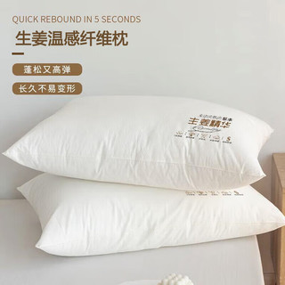 OBXO 源生活 抗菌枕头酒店纤维枕芯 A类母婴级家用全棉可水洗 一对装48*74cm