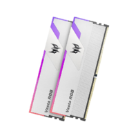 PREDATOR 宏碁掠夺者 Vesta DDR4 3600MHz 台式机内存条 32GB(16GB*2)